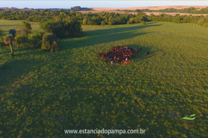 Fazenda Reconquista - Cachoeira do Sul.00_01_06_24.Quadro016_d79da9f993e4bcae86d7428de225c98190fd5bc2.png